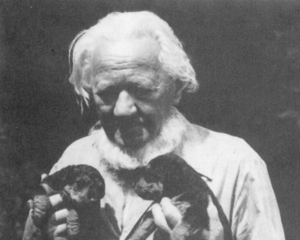 Hannes Tuch mit Hunden