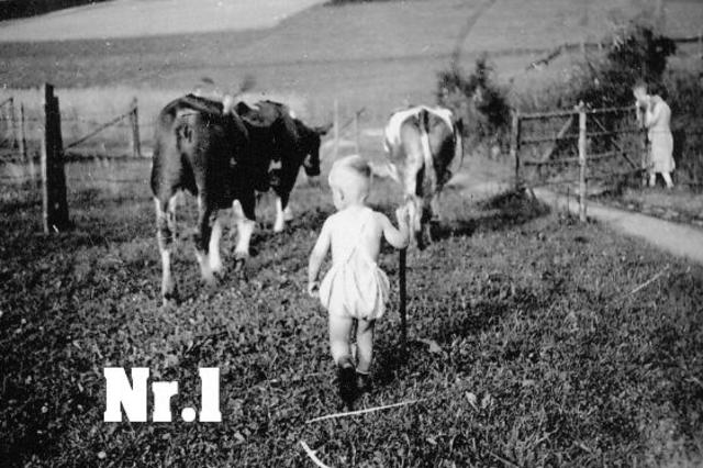 Das Kind im Vordergrund zeigt Ekkehard Piclum beim „Kühehüten”